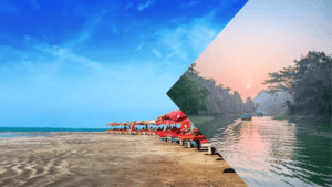 photo-collage.png (1)